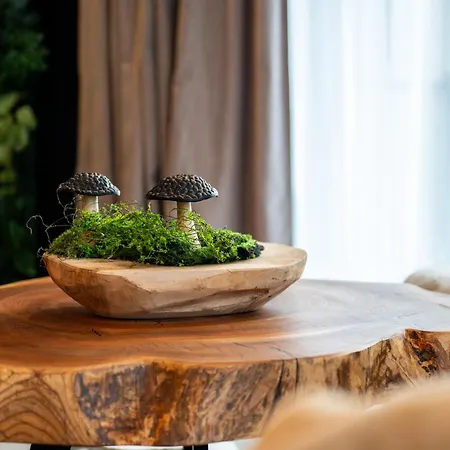 Gorski Eden By Comfort Daire *